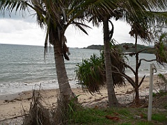055 Palm Cove